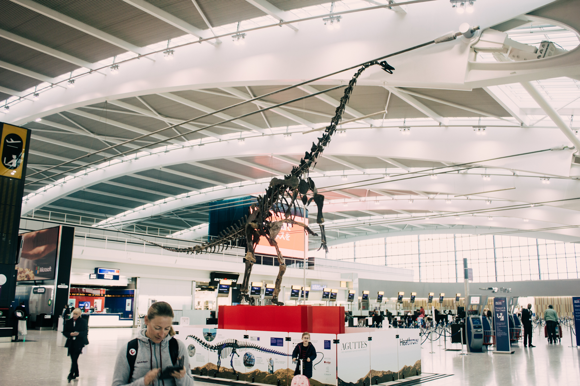 Sls 16x5 fake ceilingsugars legacy stables raleigh nc