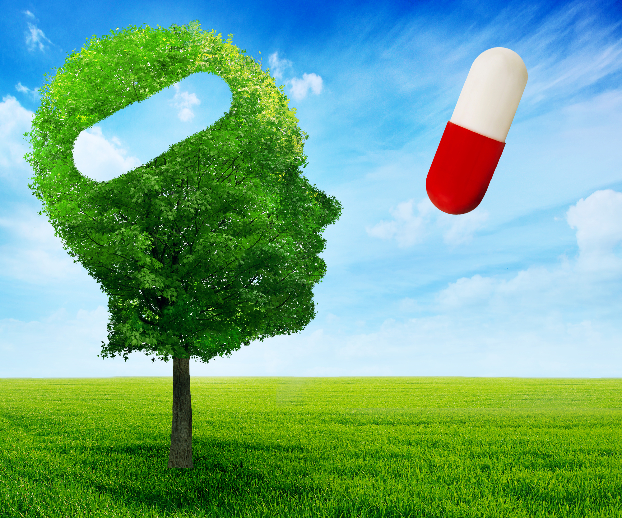 Preliminary Phase 2 trial results of donanemab suggest the drug slows cognitive decline compared to placebo