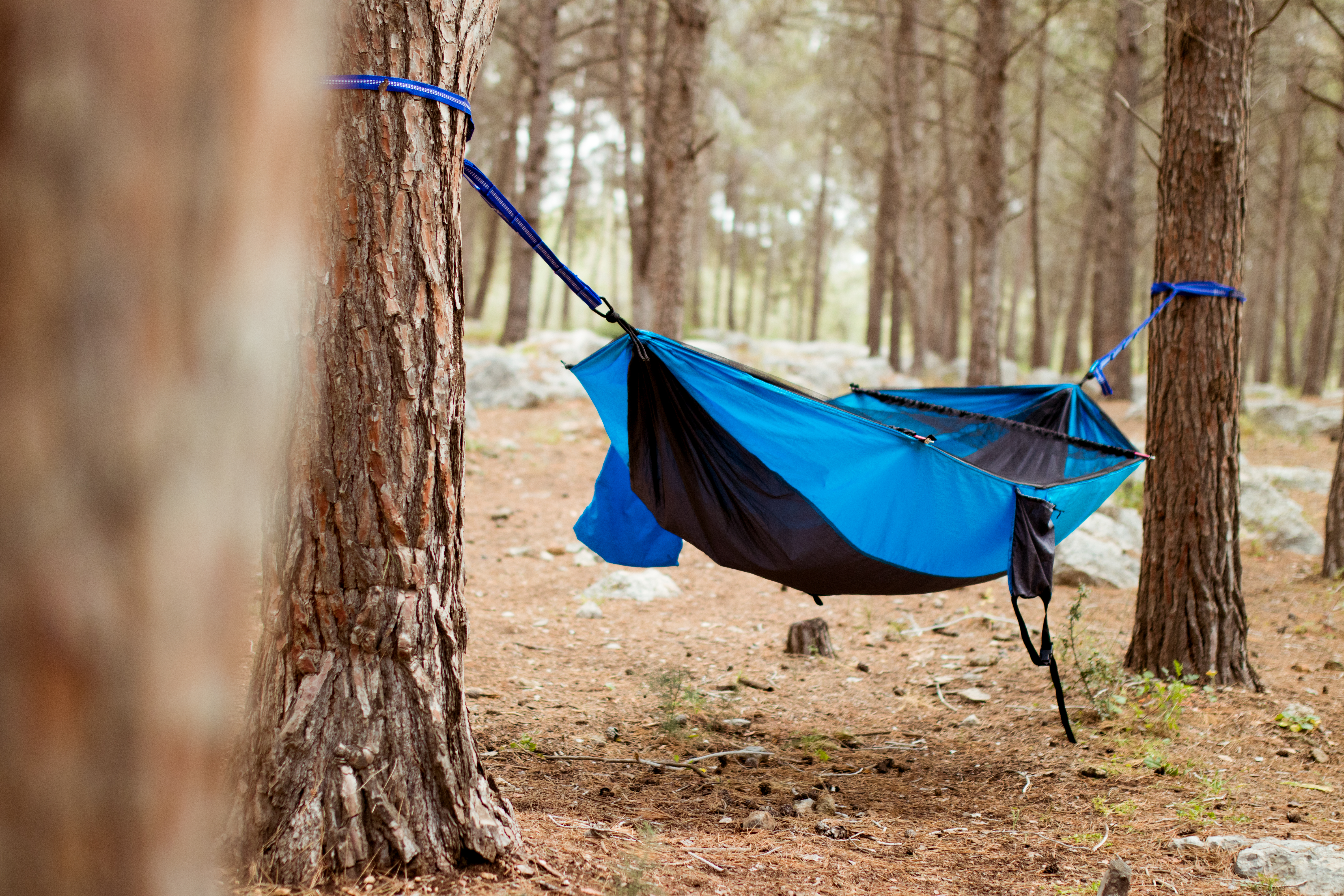 crua-koala-hammock-11.jpg crua-koala-hammock-11.jpg