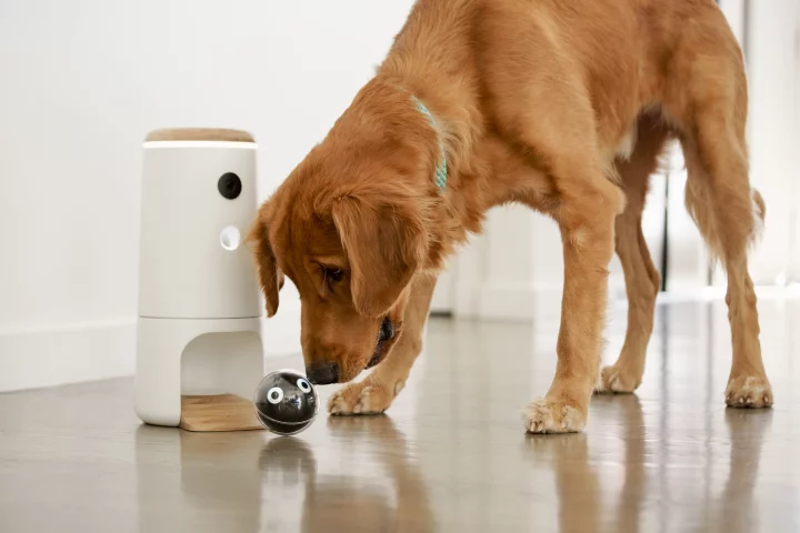 Pupple's full Bird House package consists of the Bird (ball), the Nest (charging station, with the ramp) and the Treat House (on top of the Nest)