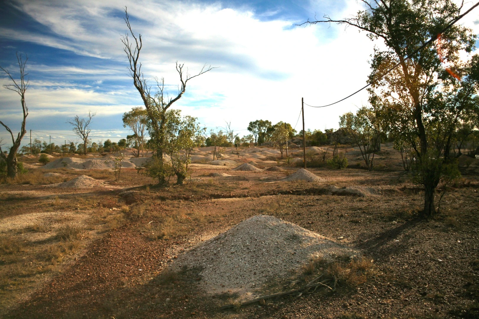 The area around Lightning Ridge opal fields, where the opalized fossils of Fostoria were found
