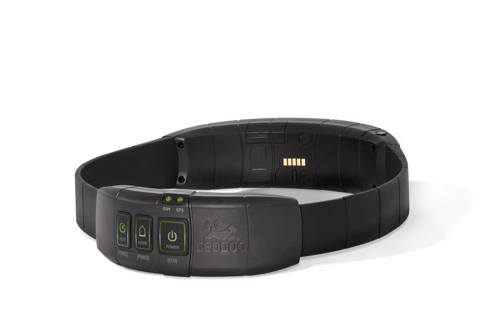 GEODOG collar