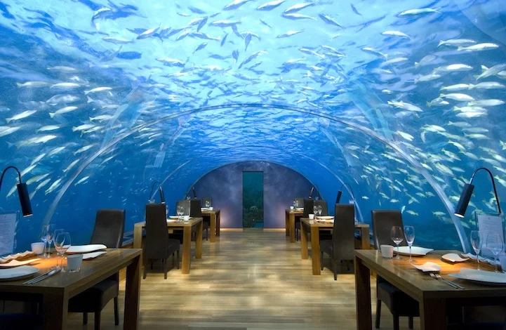 Guests are offered the experience of dining 16 feet (4.9m) below sea level (Photo: Conrad Rangali)