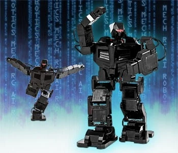 The MechRC has 17 independently controllable servos.