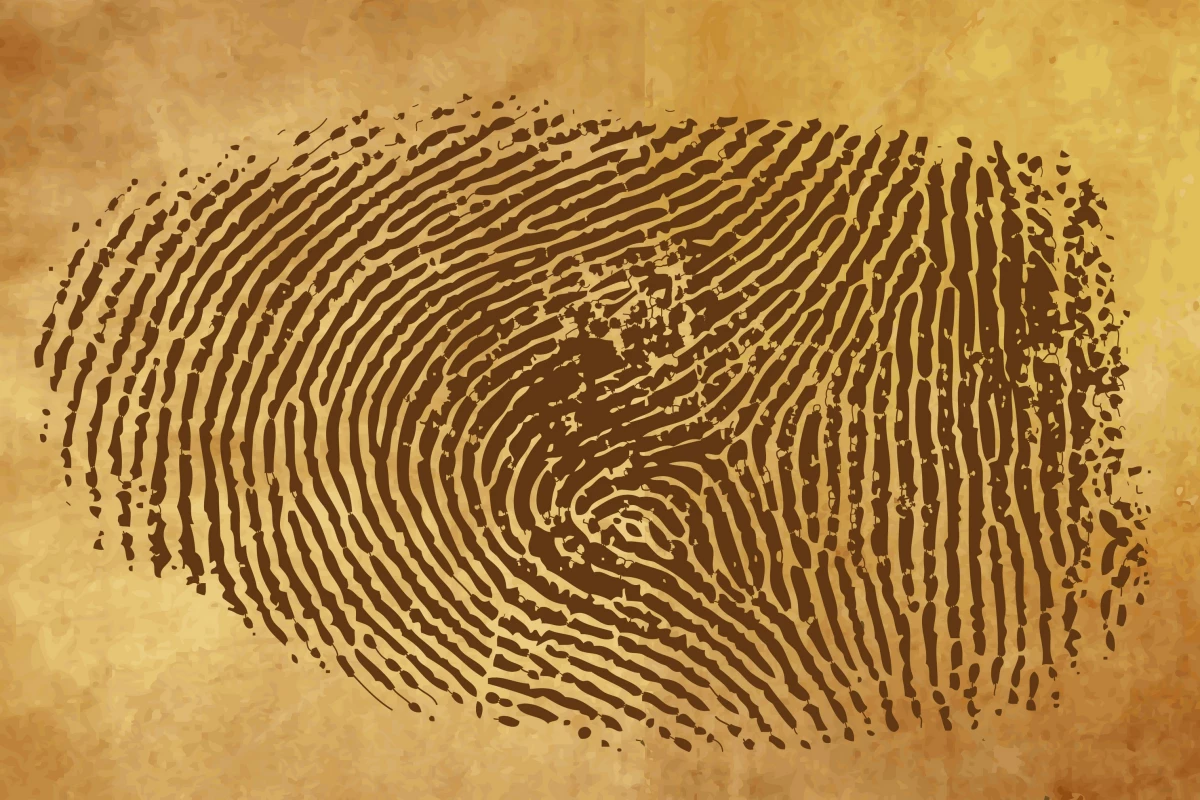 How old would you say this one is?