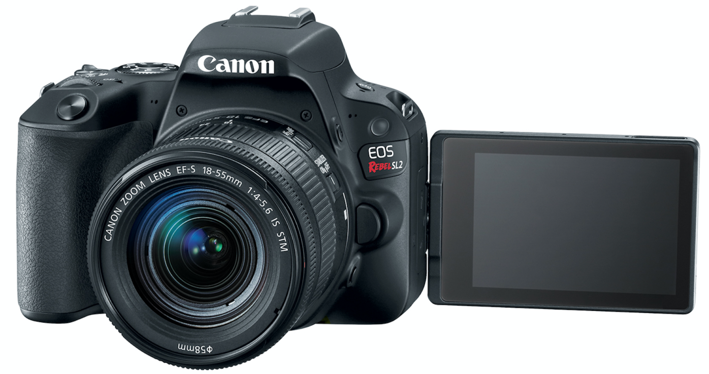 The flip-out screen on the Rebel SL2