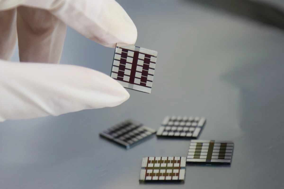 Samples of perovskite solar cells containing capsaicin