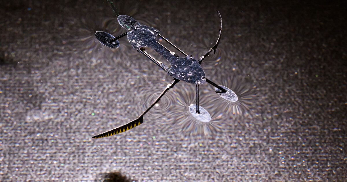 Robotic insect moves across the water via world-record tech Robotic insect moves across the water via world-record tech