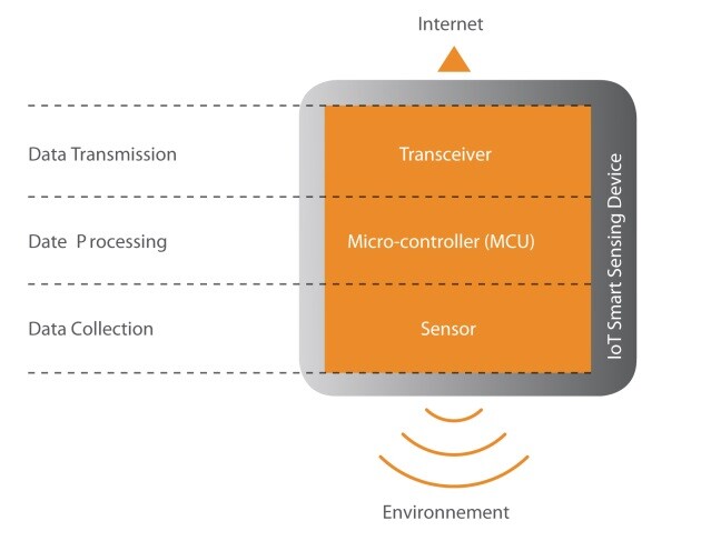 The Fundamental Components of the IoT-Enabled Smart Sensing Device