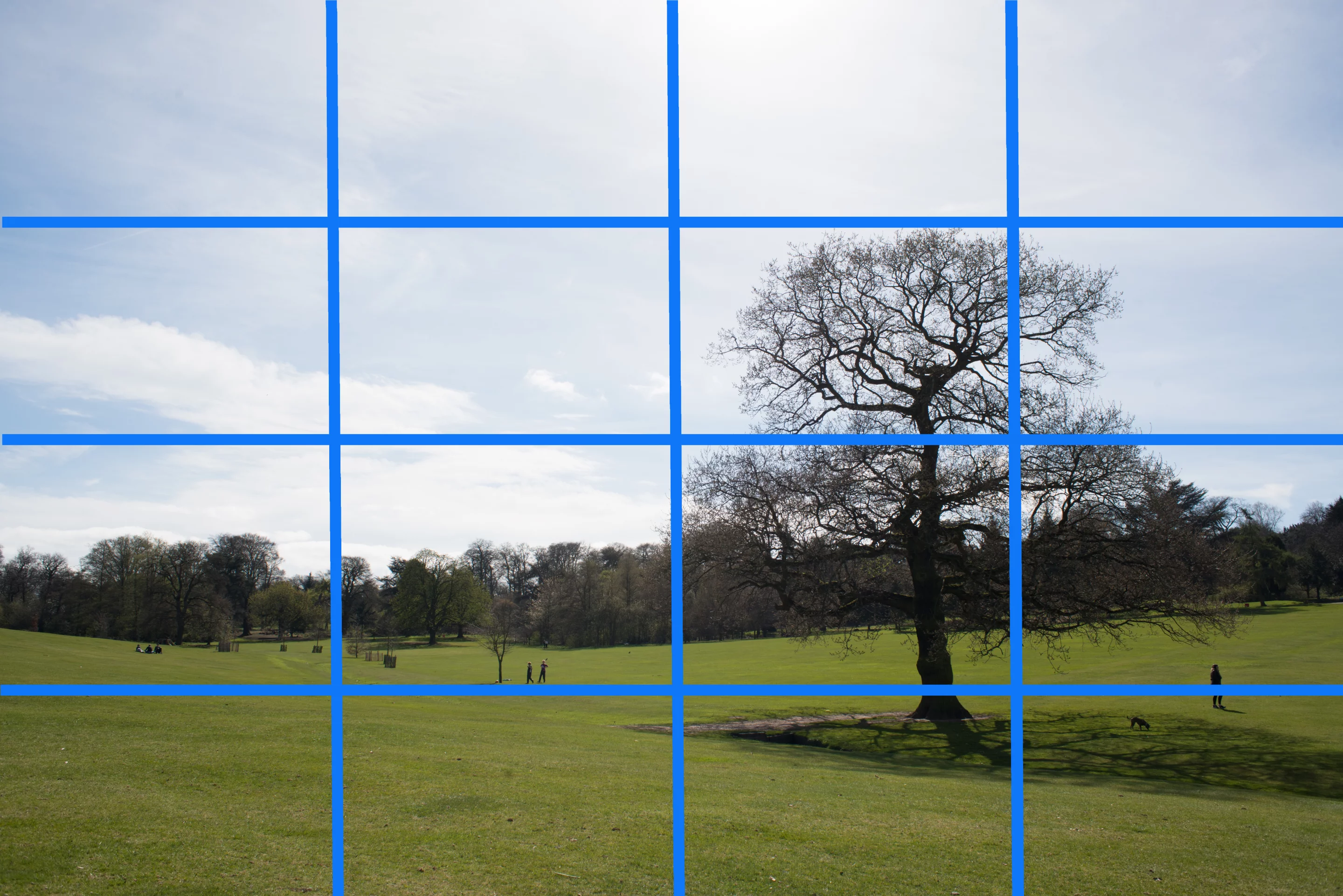 This image was taken with evaluative metering (zone grid for illustrative purposes only) and gave a good overall exposure