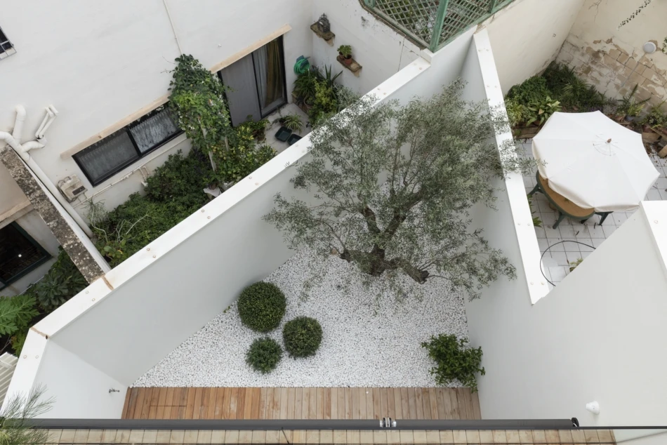 Top-down view of Casa B's garden