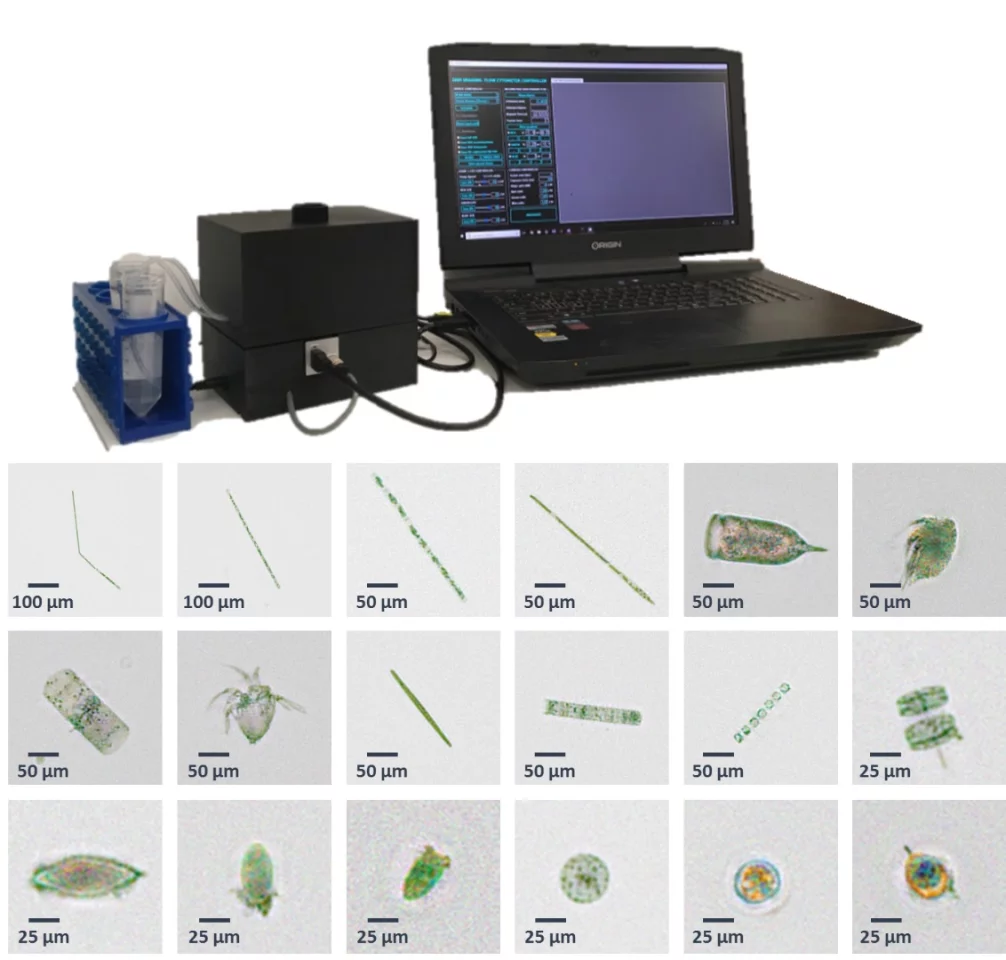 Unlike a microscope or a conventional flow cytometer, which utilize costly optical lenses, the UCLA device features a holographic imaging system assisted by artificial intelligence algorithms