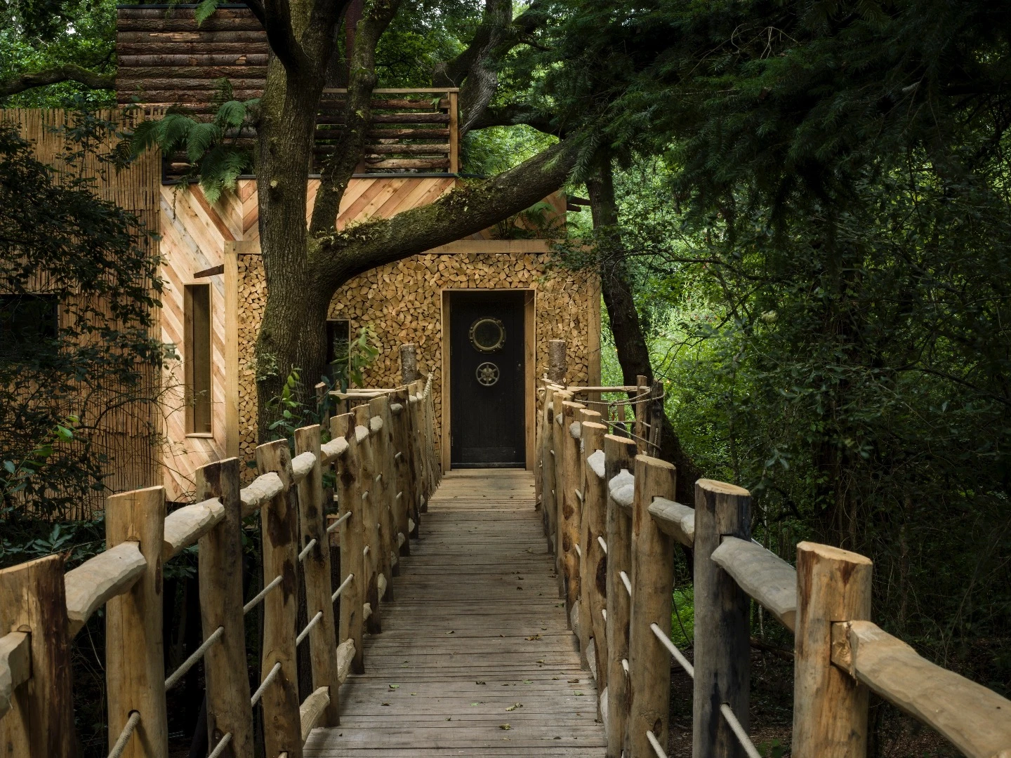 The bridge to the Woodsman's Treehouse