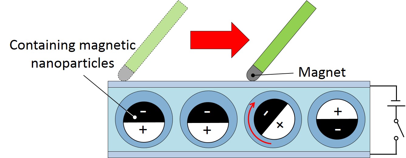 Magnetic nanoparticles in the black side of the bicolored microparticles flip the tiny balls over, making it possible to write on the e-paper (Image: Yusuke Komazaki/University of Tokyo)