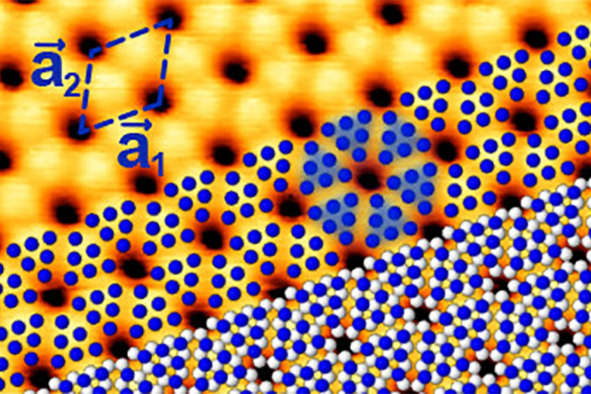 In blue phosphorus, the atoms arrange themselves in a honeycomb pattern like graphene, but buckled, thanks to the shape of the gold substrate underneath