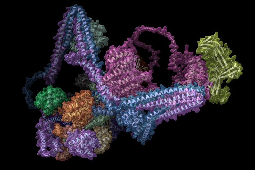 Multi-colored spirals on a black background