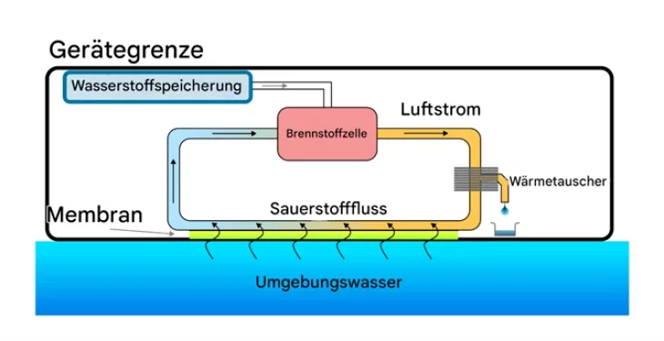 Schematic of the fuel cell system