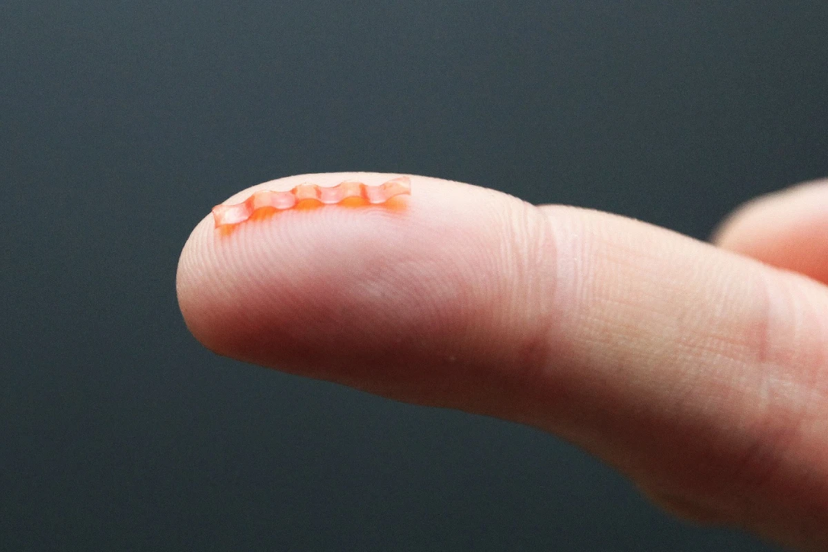 The soft robotic caterpillar is powered by green light and can be controlled by a modulated laser beam