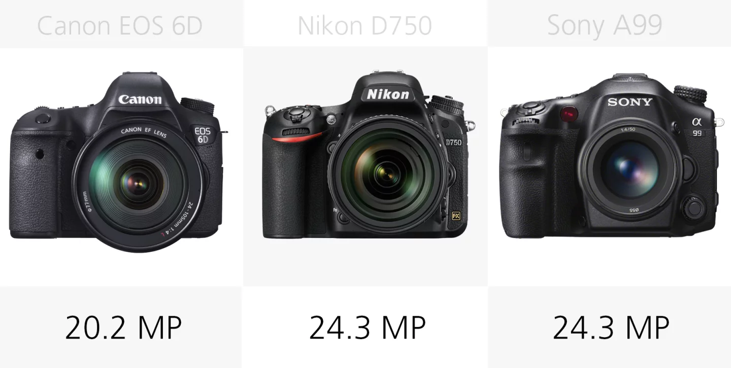 Full frame DSLR effective megapixel comparison Canon EOS 6D, Nikon D750, Sony A99