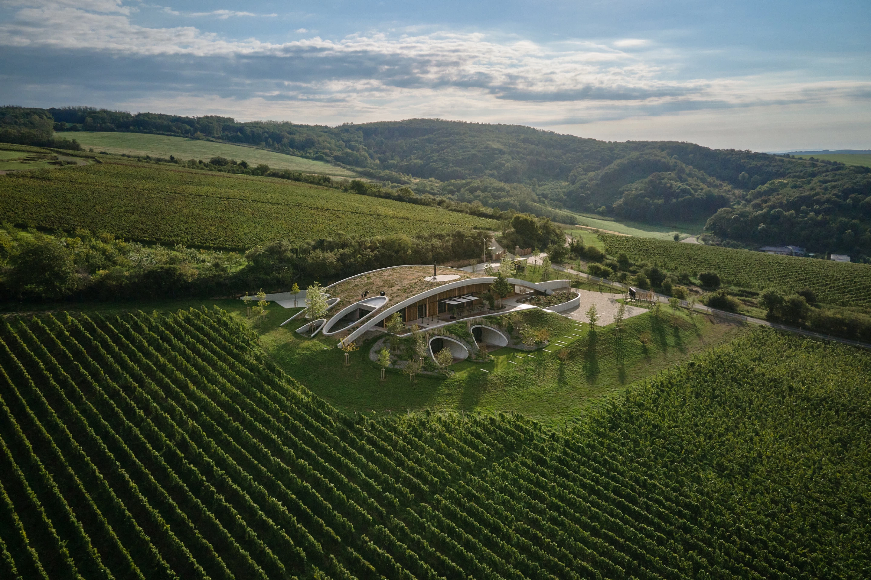 The Gurdau Winery's hill-like concrete structure is covered with a mixture of shrubs and trees