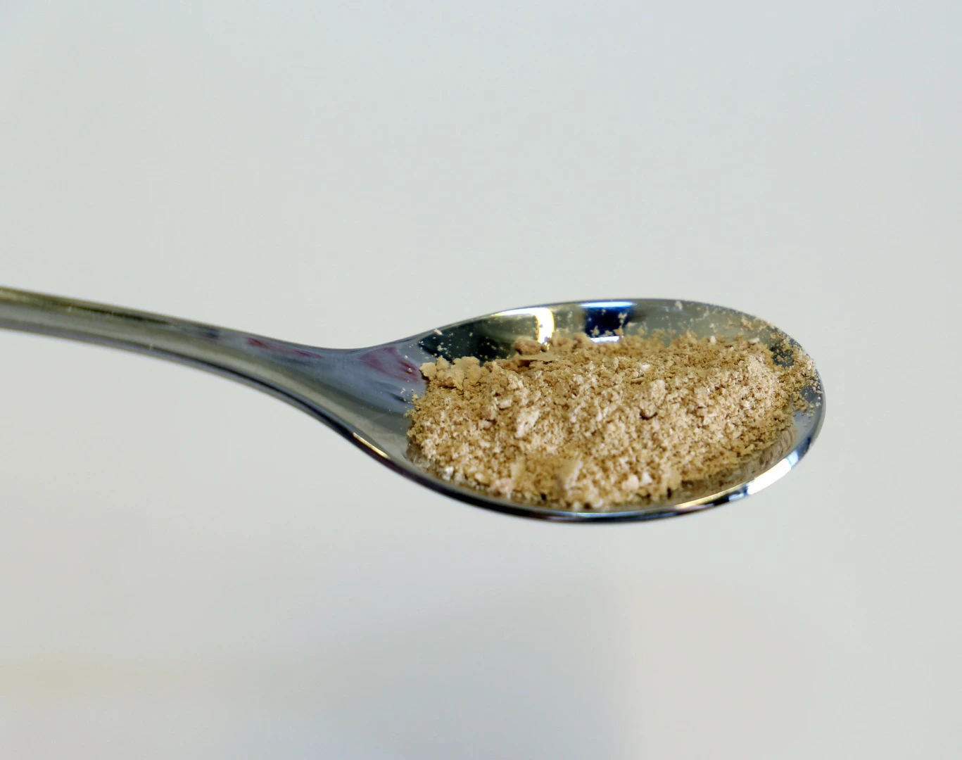 A sample of edible protein powder grown from microbes
