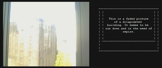 The "Descriptive Camera" works like a regular camera, but instead of displaying images, it prints out a description of the photo's content in plain English