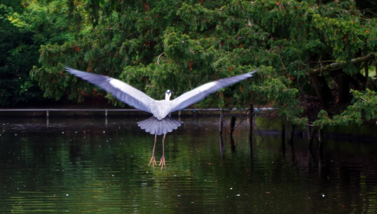 The 27-point autofocus system on the Pentax K-3 II is able to keep up with most subjects