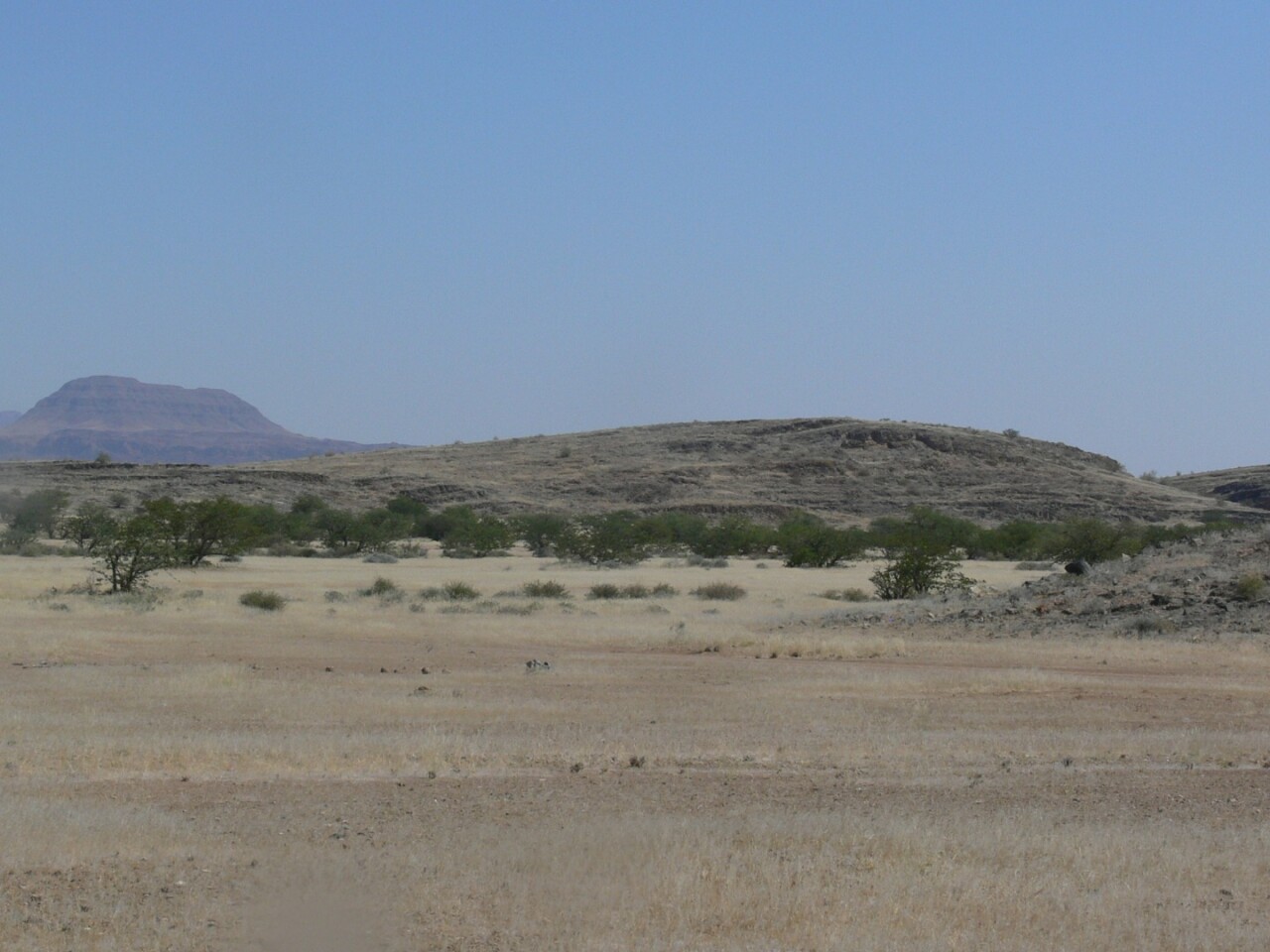 Drumlins are commonly found in North America and northern parts of Europe, so aren't usually associated with deserts
