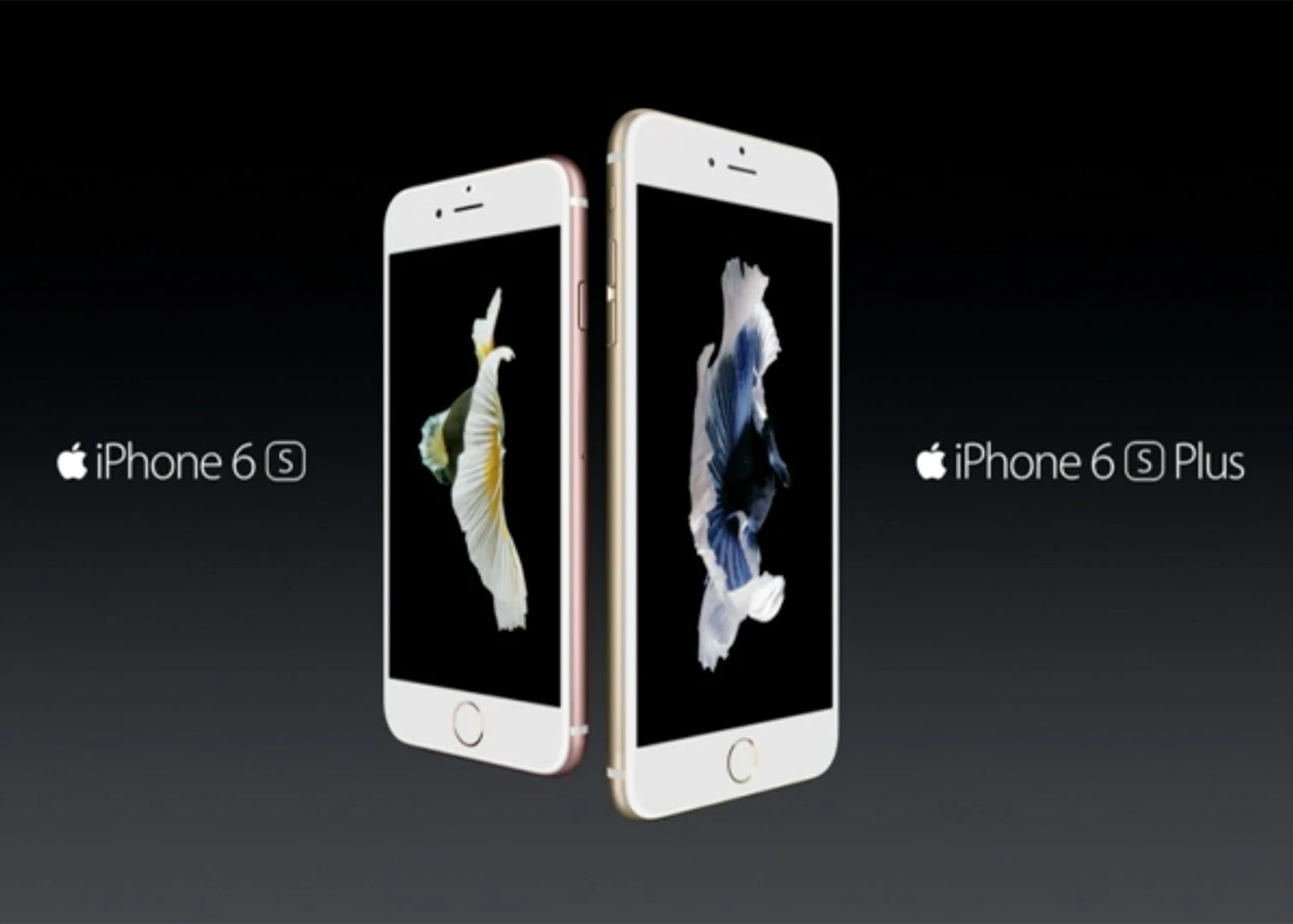The new iPhones for 2015
