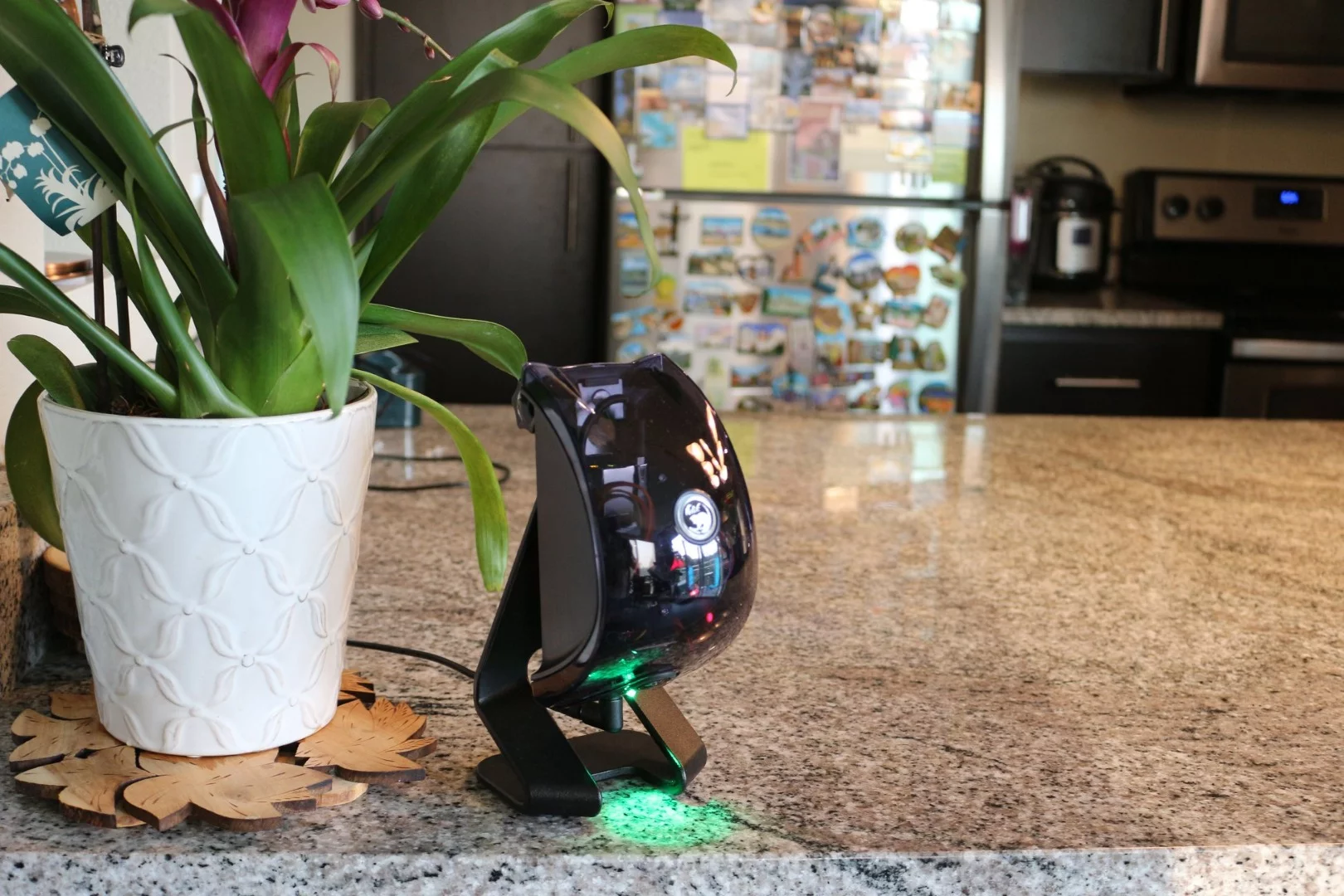 Previously successful on Kickstarter, Felik is now the subject of an Indiegogo campaign