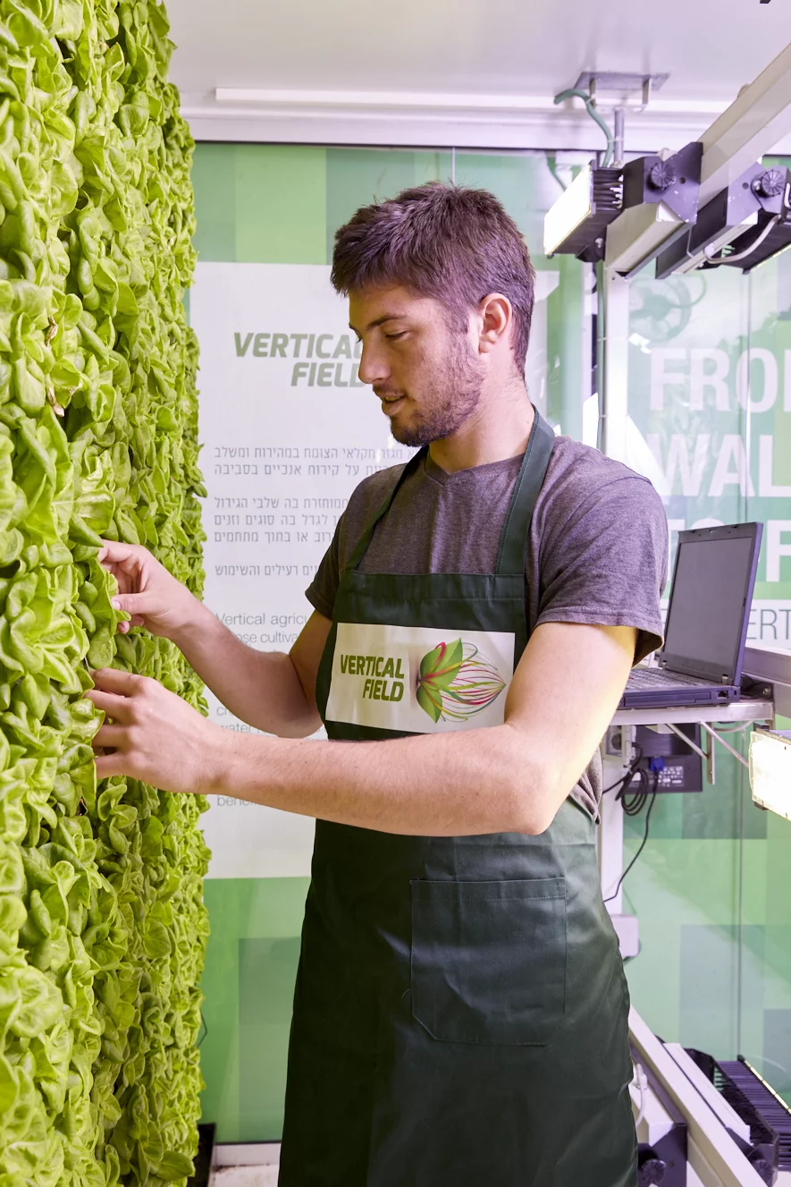 Installing a Vertical Field urban farm in a grocery store parking lot means that consumers can benefit from fresh veggies all year long