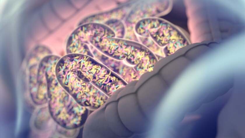 There are estimated to be 100 trillion tiny organisms living inside of us