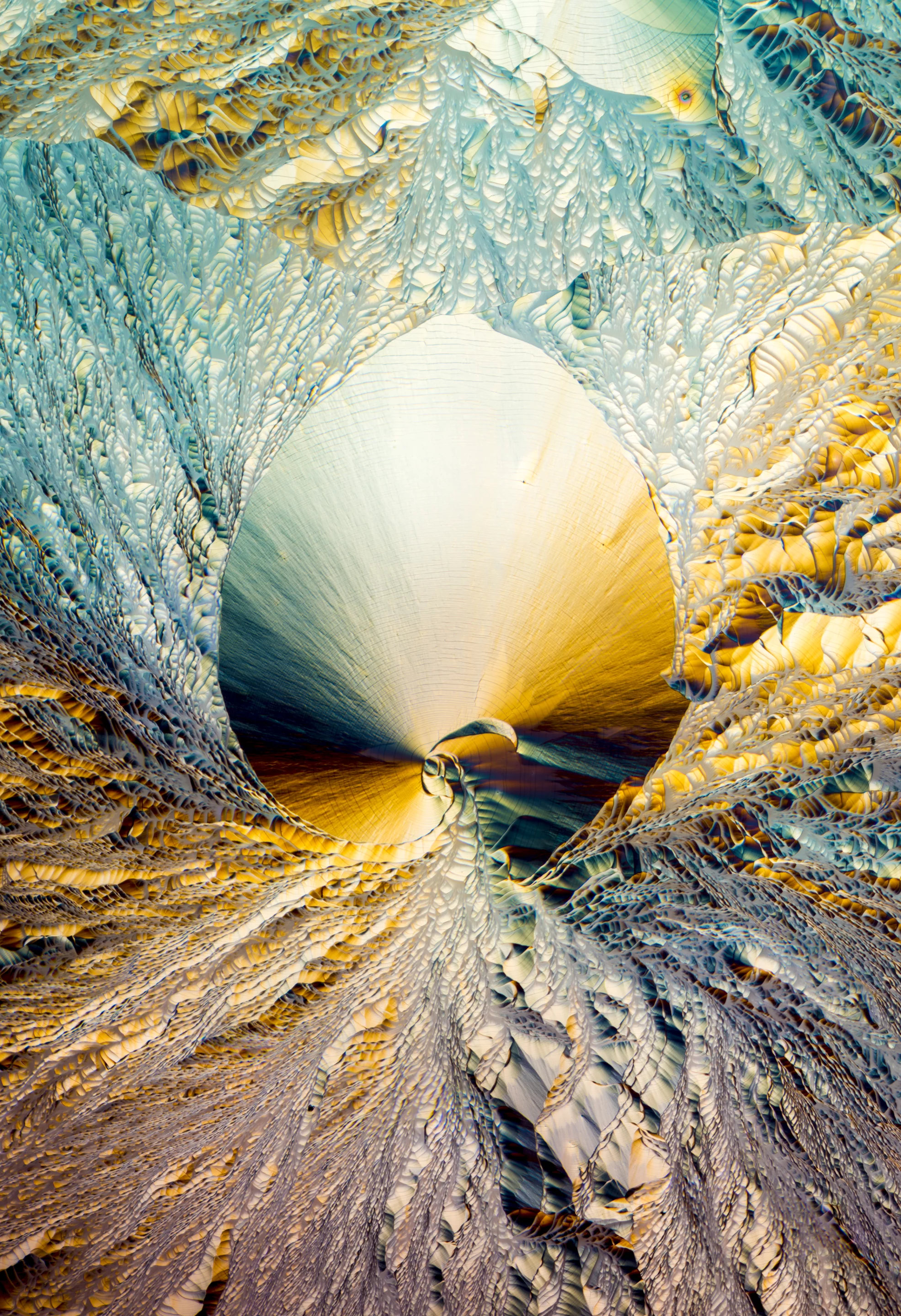 L-Glutamine and Beta alanine