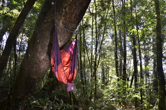 Chammock comes with a set of tree-friendly straps to help you lift you off the ground