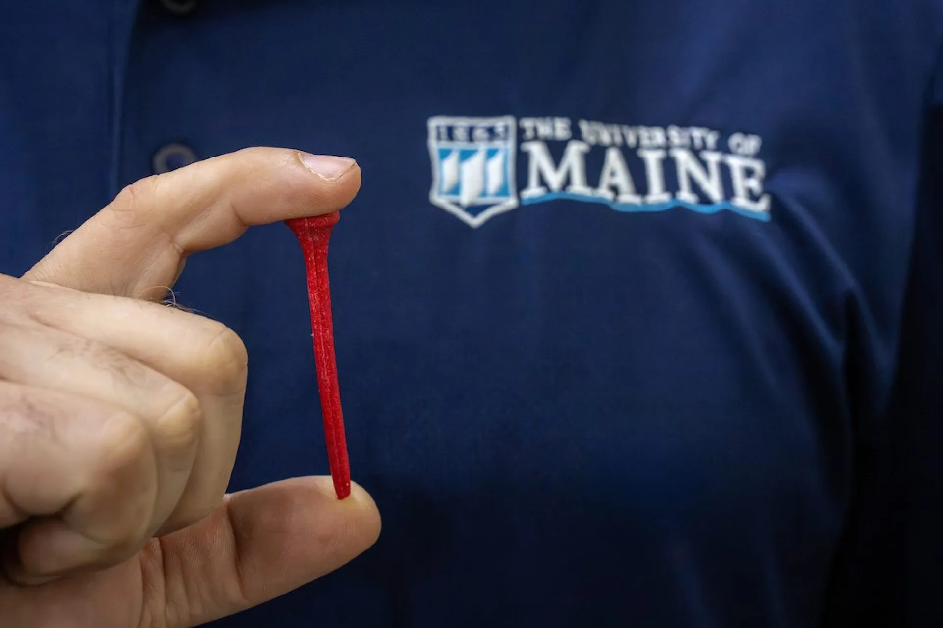 Discarded lobster shells recycled into biodegradable golf tees