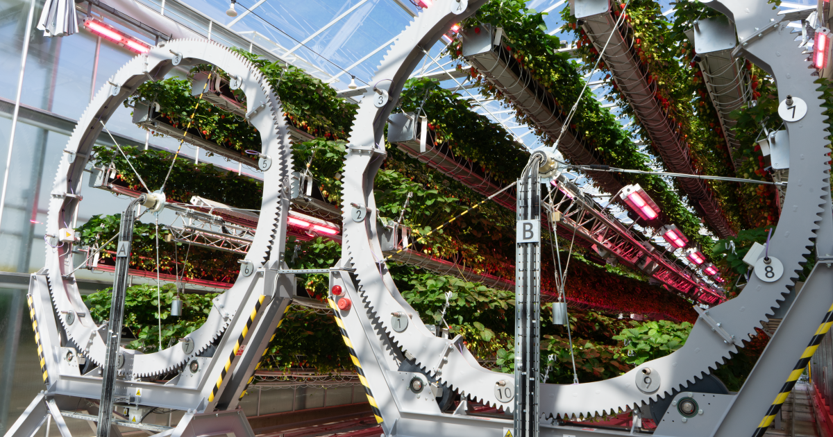 1,000-pound wheels and robots now farming Dyson strawberries