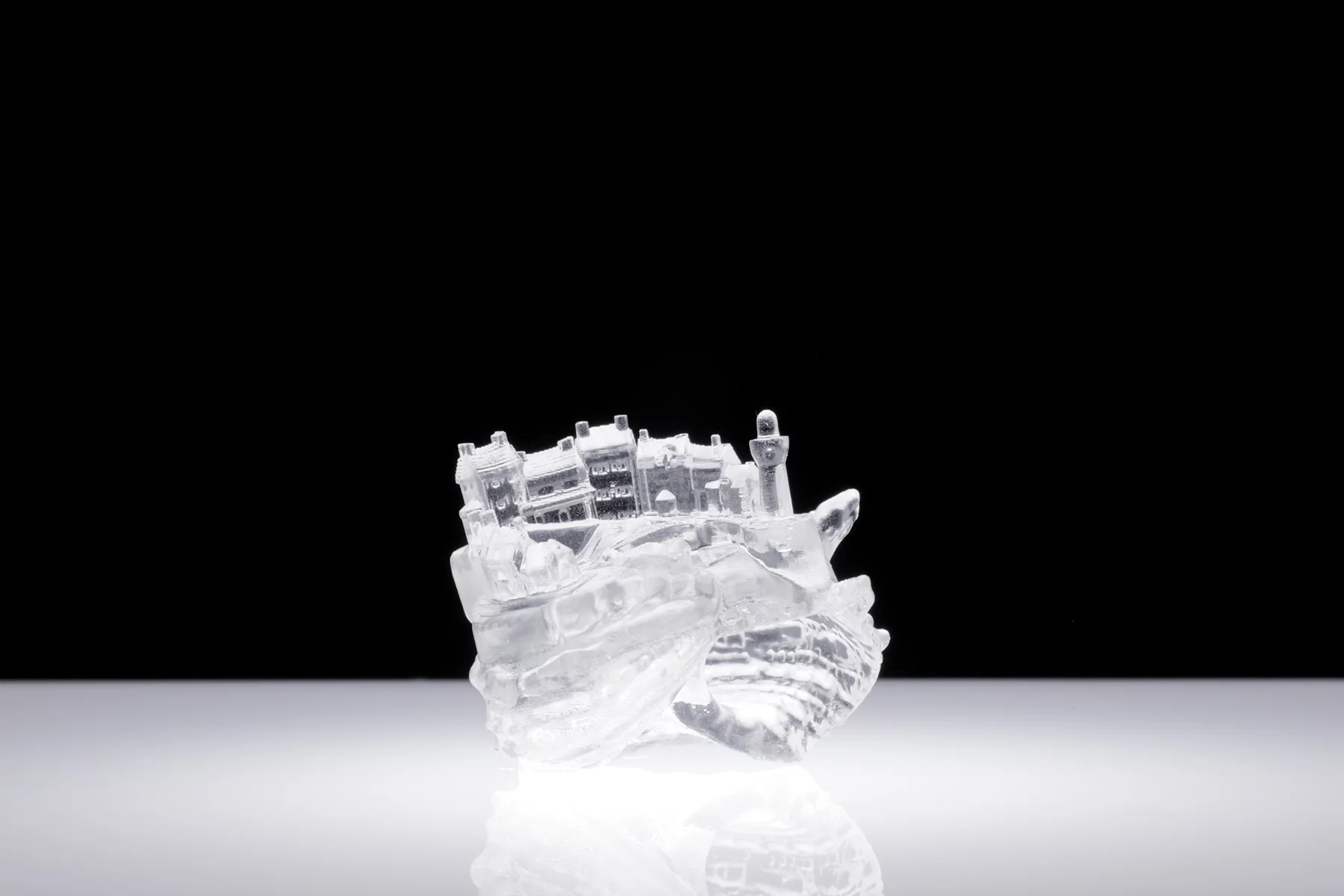 CT scans were used to obtain detailed models of the internal shape of the shells (© AKI INOMATA)