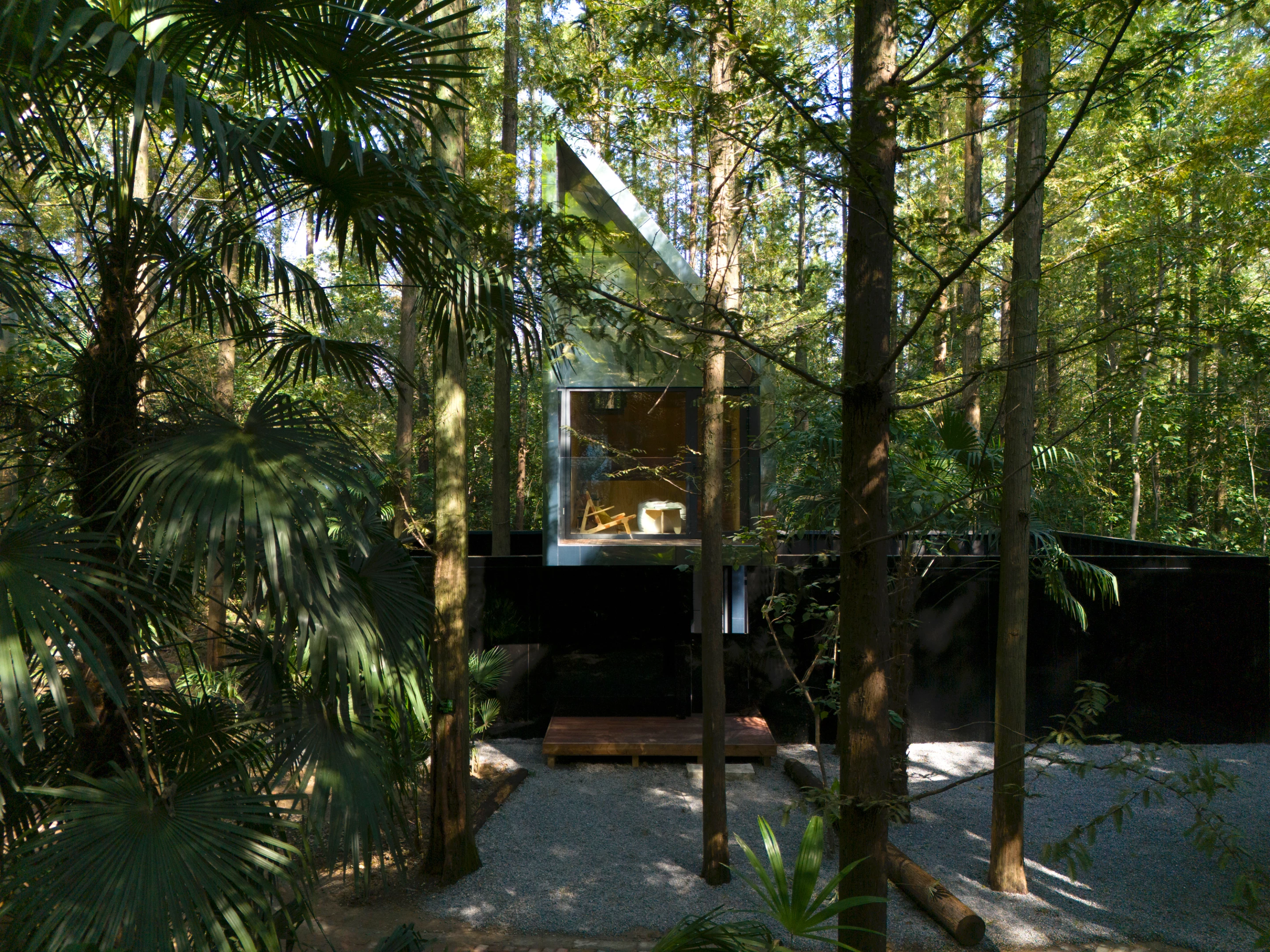 The cabin appears to float gently above the forest floor