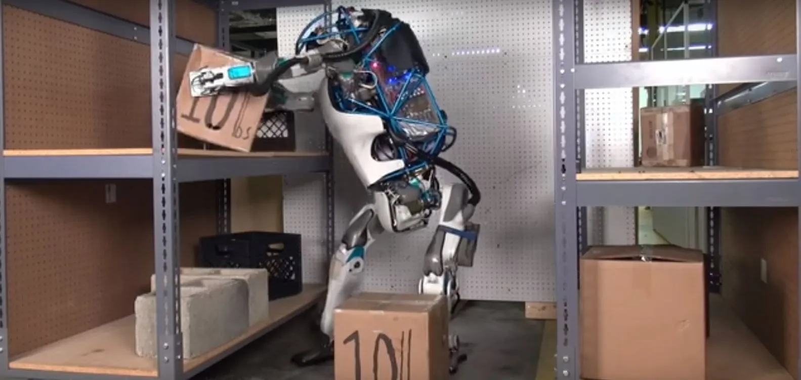 The latest Atlas robot stacking shelves