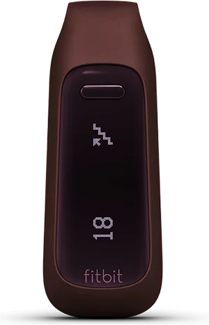 The Fitbit One in burgundy (also available in black)