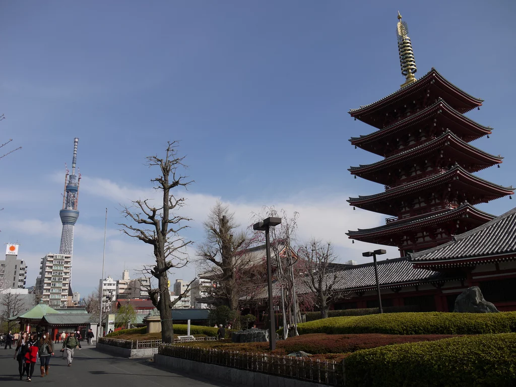 The Sky Tree in the background, still under construction in April 2011; in the foreground is the type of five-story pagoda that in part informed the Sky Tree's design (Photo: Yoshikazu Takada)