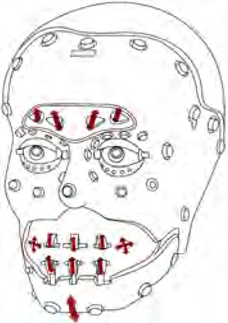 Plan of robot head with skin attachment points (Image: Disney)