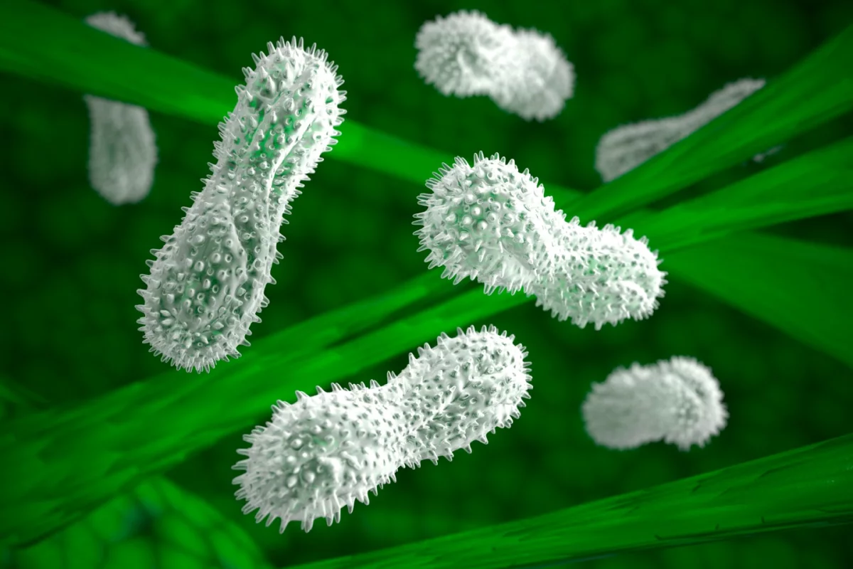 The Lockheed Martin Advanced Technology Center will explore how to scale up and improve biodesigns based on single-cell organisms