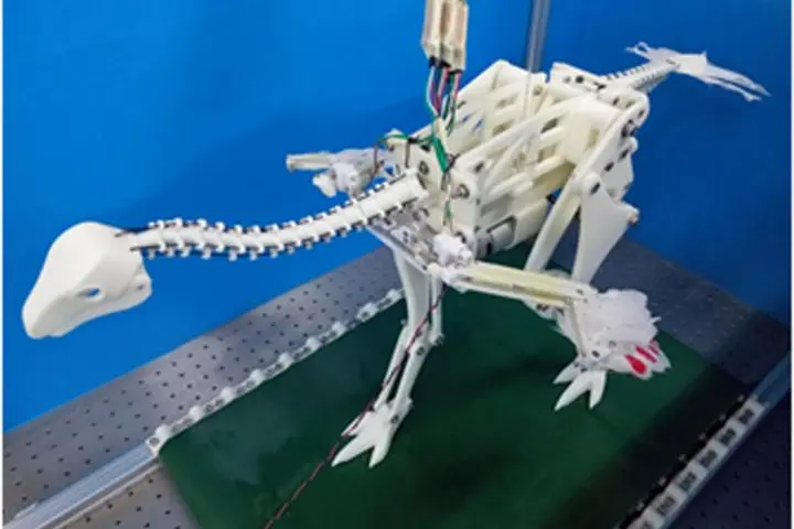 A robotic Caudipteryx demonstrates how a running motion may have caused the proto-wings to flap, eventually leading to the evolution of active flight