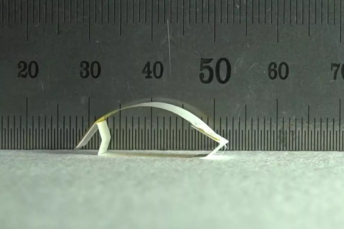 The microbot concept in motion