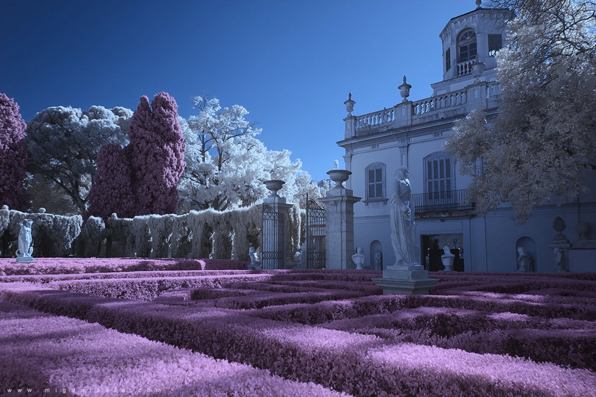 From Miguel Sala, this piece is titled "Dreamed Garden" (Credit: Miguel Sala Flickr / CC BY-NC-ND 4.0)