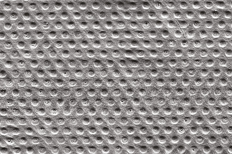 A microscope image of the membrane's surface – each indentation has a diameter of 10 micrometers