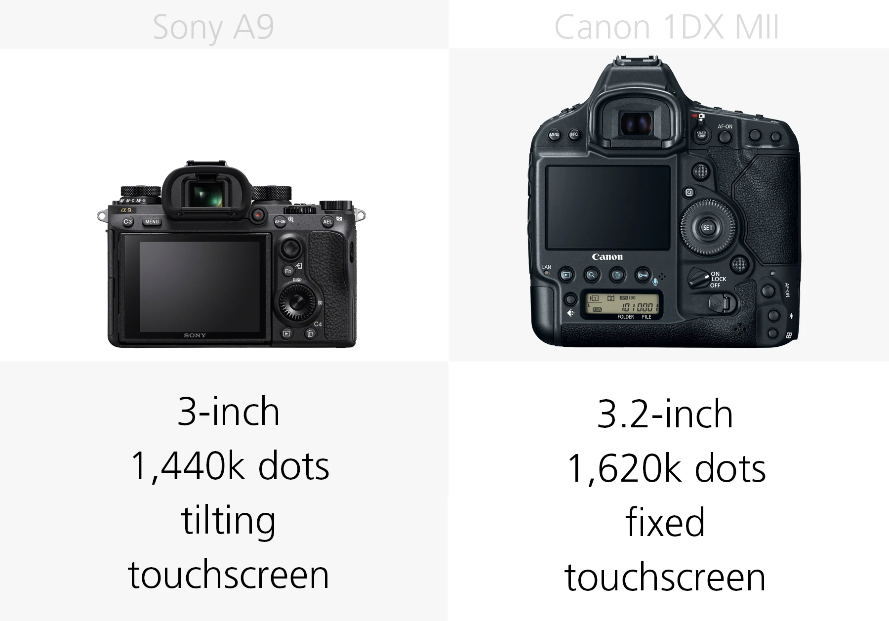Comparing the rear monitors of the Sony A9 and Canon 1DX Mark II