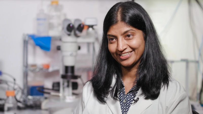 Dr. Asha Acharya led a study at University of Texas Southwestern Medical Center that describes a previously unknown mechanims behind fat formation