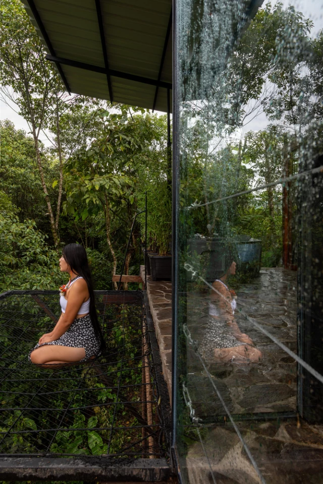 A net balcony is suspended above the forest floor